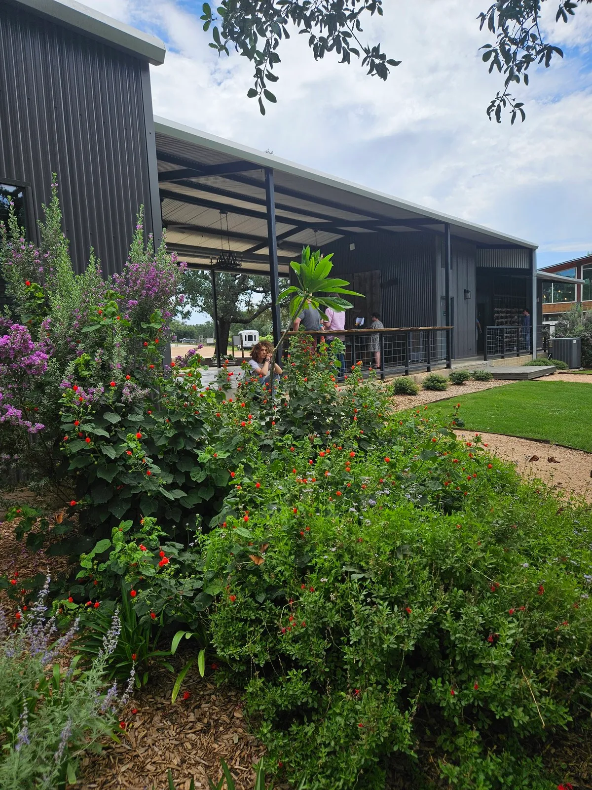 The tasting room building and garden beds, July 2025